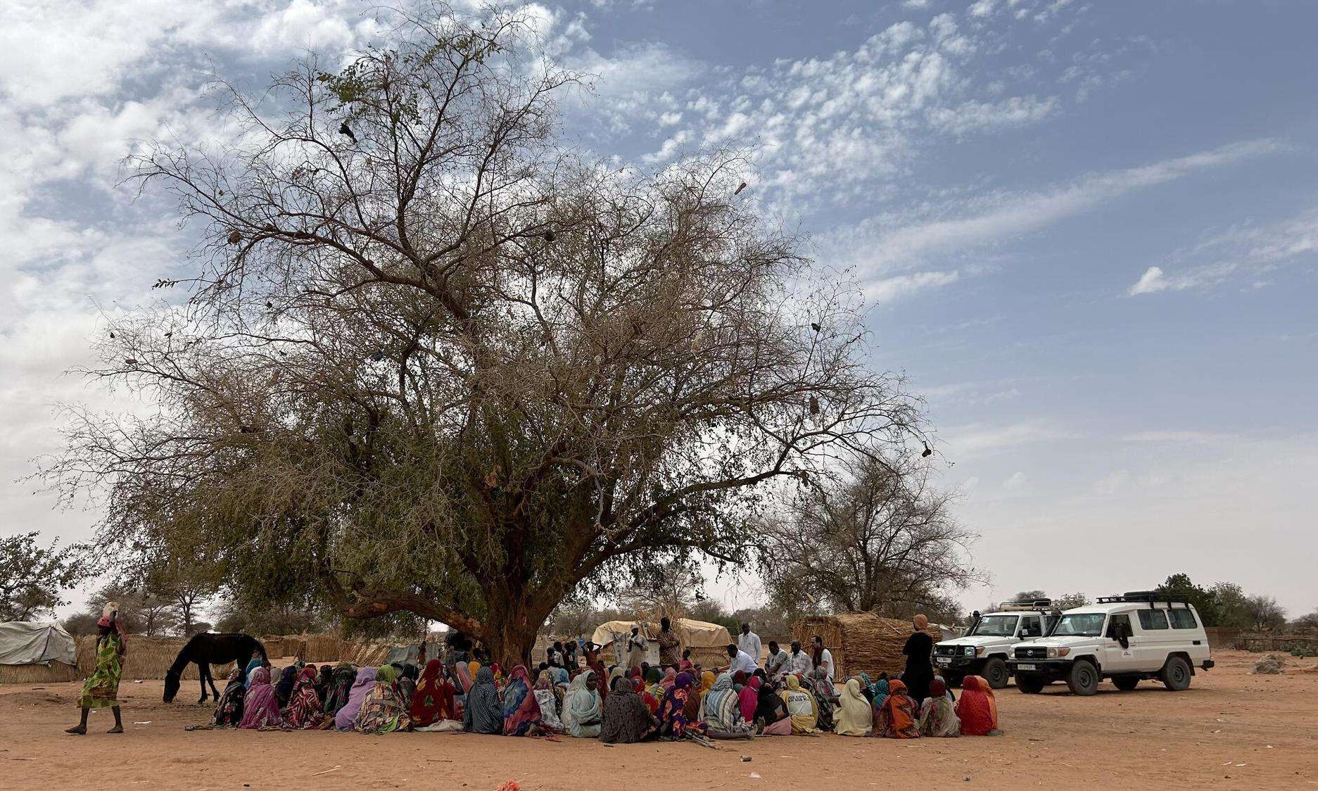 Refugees shelter under a tree in Andre, Chad. 