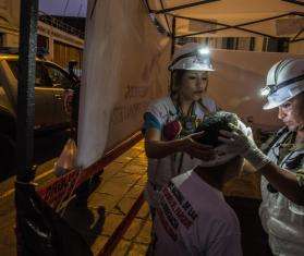 Treating people injured during the protests in Lima