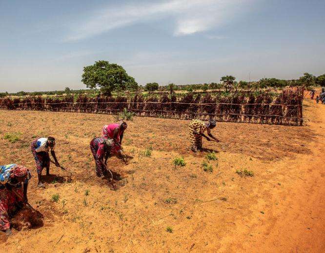 Farmers cultivate their land near the village of Riko in Katsina State amid a drought.