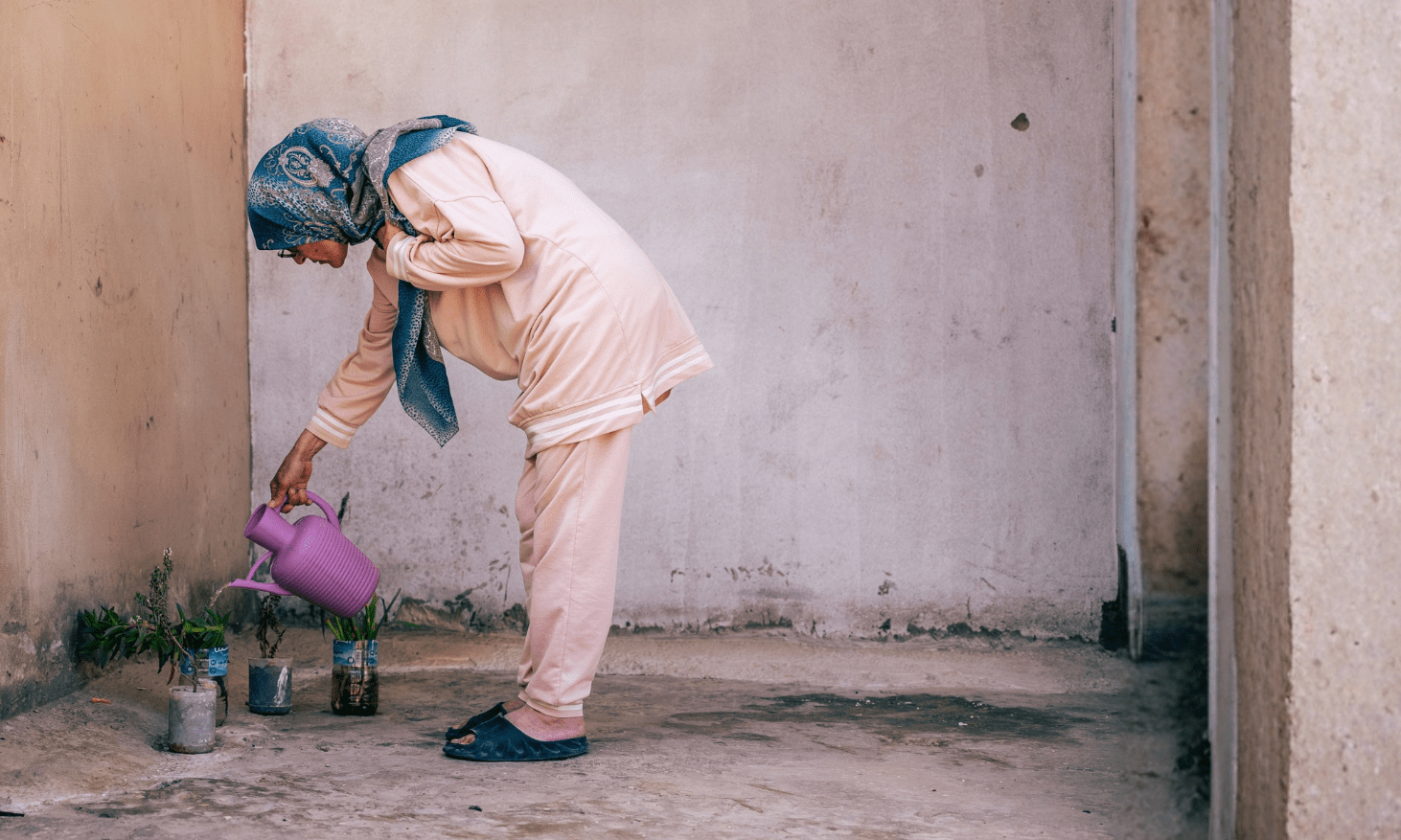 A displaced woman in southern Lebanon waters plants.
