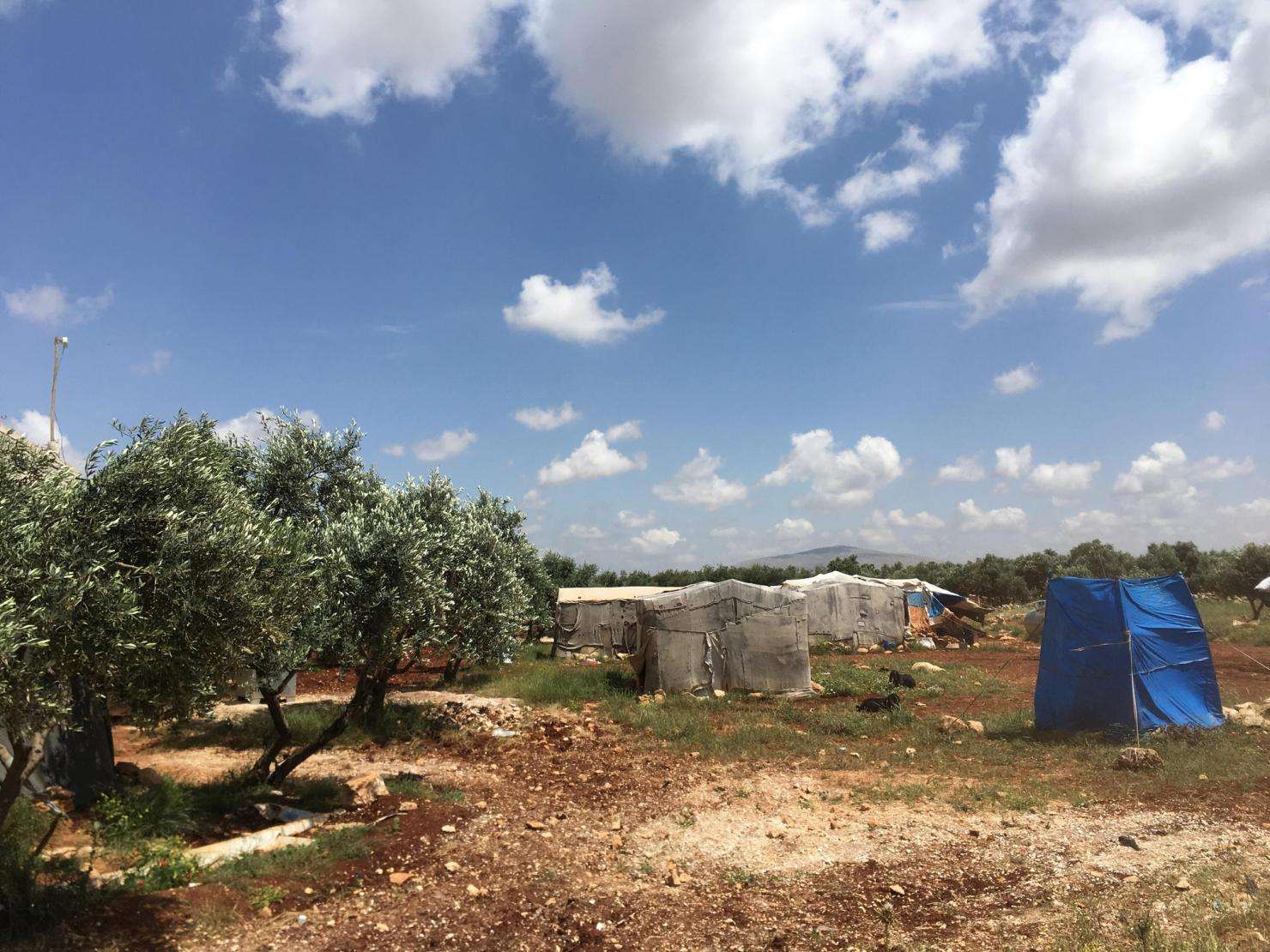Idlib, a crowded IDP camp