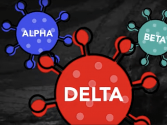 3 things to know about the Delta variant of COVID-19