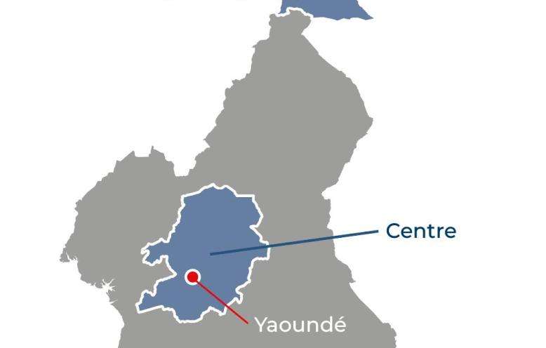 Cameroon IAR 2025 map
