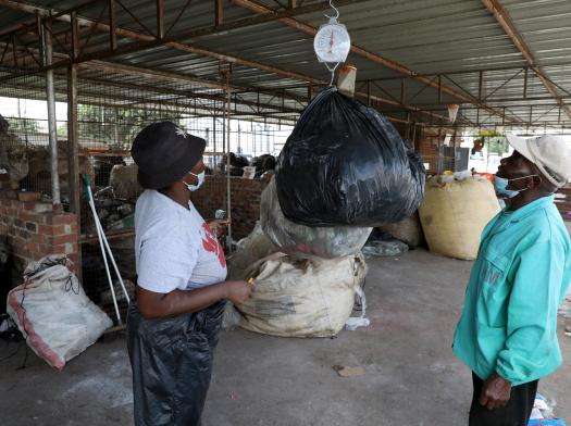Reaping the rewards of recycling in Harare