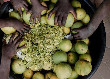 Children sort through a basket full of oranges in a displacement camp in Nigeria.