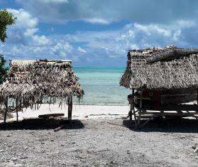 Traditional raised sleeping structure made of coconut tree wood in Kiribati.